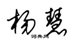 朱锡荣杨慧草书个性签名怎么写