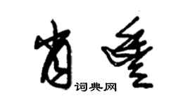 朱锡荣肖丰草书个性签名怎么写