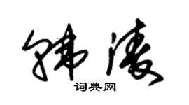 朱锡荣韩凌草书个性签名怎么写