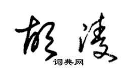 朱锡荣胡凌草书个性签名怎么写