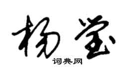 朱锡荣杨莹草书个性签名怎么写