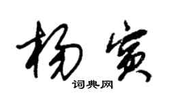 朱锡荣杨宾草书个性签名怎么写