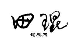 朱锡荣田琨草书个性签名怎么写