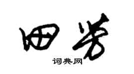 朱锡荣田芳草书个性签名怎么写