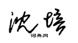 朱锡荣沈培草书个性签名怎么写