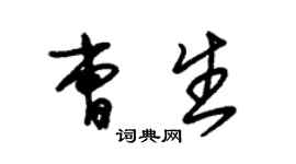 朱锡荣曹生草书个性签名怎么写