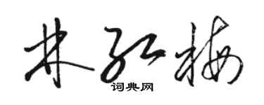 骆恒光林红梅草书个性签名怎么写