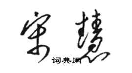 骆恒光宋慧草书个性签名怎么写