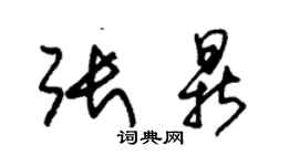 朱锡荣张鼎草书个性签名怎么写