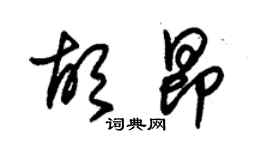 朱锡荣胡昂草书个性签名怎么写