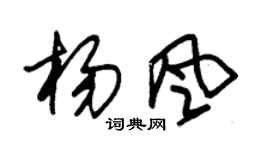 朱锡荣杨风草书个性签名怎么写