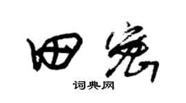 朱锡荣田密草书个性签名怎么写