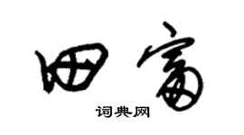 朱锡荣田富草书个性签名怎么写