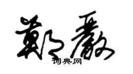朱锡荣郑严草书个性签名怎么写
