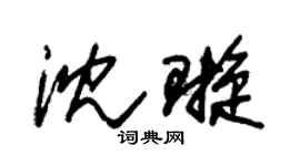 朱锡荣沈璇草书个性签名怎么写