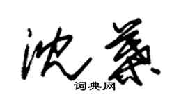 朱锡荣沈叶草书个性签名怎么写