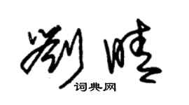 朱锡荣刘晴草书个性签名怎么写