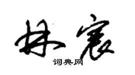 朱锡荣林宸草书个性签名怎么写