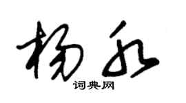 朱锡荣杨水草书个性签名怎么写