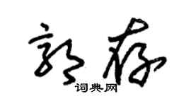 朱锡荣郭存草书个性签名怎么写