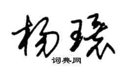 朱锡荣杨环草书个性签名怎么写