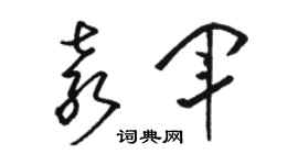 骆恒光袁军草书个性签名怎么写