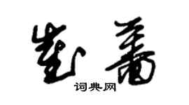 朱锡荣崔蔷草书个性签名怎么写