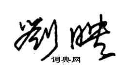 朱锡荣刘映草书个性签名怎么写