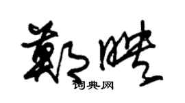 朱锡荣郑映草书个性签名怎么写