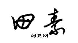 朱锡荣田素草书个性签名怎么写