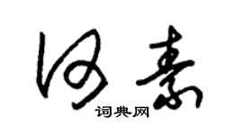 朱锡荣何素草书个性签名怎么写
