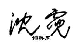 朱锡荣沈霓草书个性签名怎么写
