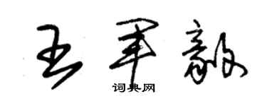 朱锡荣王军毅草书个性签名怎么写