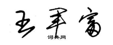 朱锡荣王军富草书个性签名怎么写