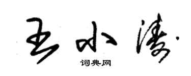 朱锡荣王小涛草书个性签名怎么写