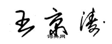 朱锡荣王京涛草书个性签名怎么写