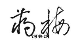 骆恒光蒋梅草书个性签名怎么写