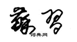 朱锡荣苏习草书个性签名怎么写