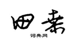 朱锡荣田桑草书个性签名怎么写