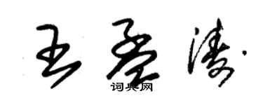 朱锡荣王孟涛草书个性签名怎么写