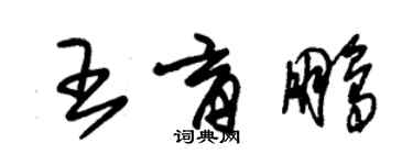 朱锡荣王育鹏草书个性签名怎么写