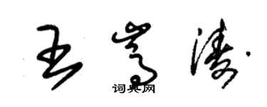 朱锡荣王嵩涛草书个性签名怎么写