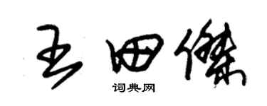 朱锡荣王田杰草书个性签名怎么写