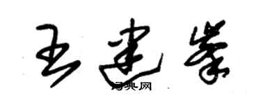 朱锡荣王建峰草书个性签名怎么写