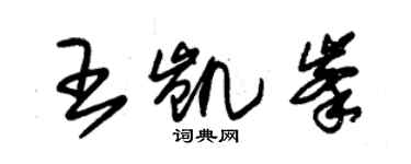 朱锡荣王凯峰草书个性签名怎么写