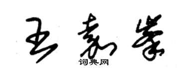 朱锡荣王嘉峰草书个性签名怎么写