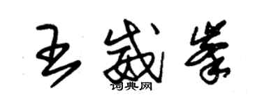 朱锡荣王威峰草书个性签名怎么写