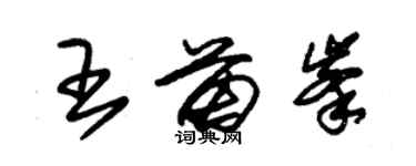 朱锡荣王苗峰草书个性签名怎么写