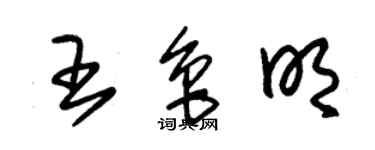 朱锡荣王鲁明草书个性签名怎么写