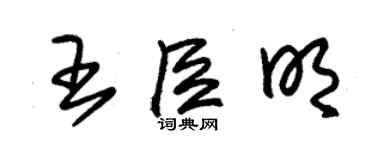 朱锡荣王臣明草书个性签名怎么写